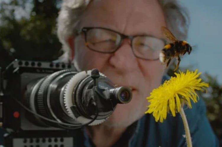 Wildlife filmmaker's feature My Garden of a Thousand Bees is being screened in partnership with Wildscreen charity.