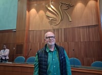 North Somerset Council appoints cabinet member for AI