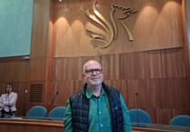 North Somerset Council appoints cabinet member for AI