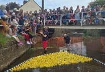 Ready, steady, duck as the annual Chew Magna Duck Race takes to the water