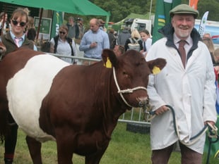 North Somerset Show sees locals excel in livestock competition