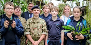 Radstock school brings home Gold from RHS Chelsea Flower Show 