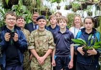 Radstock school brings home Gold from RHS Chelsea Flower Show