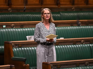 Bath MP repeating calls to join customs union with EU
