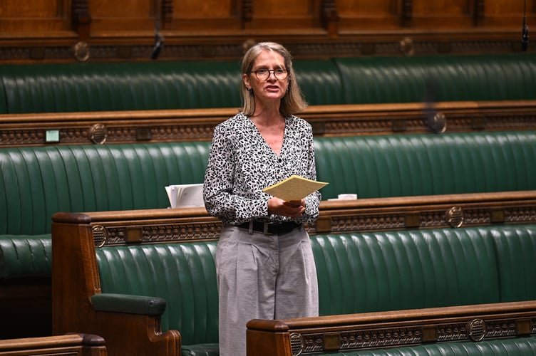 Bath MP Wera Hobhouse is repeating calls to join a customs union to reverse damage from Brexit.