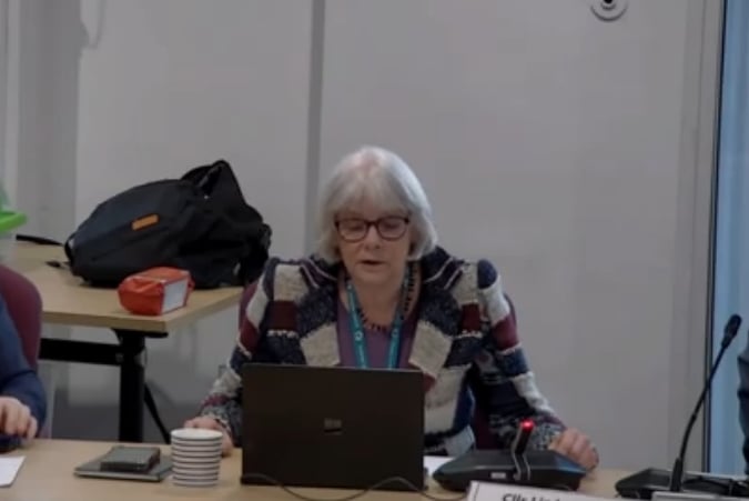 Council deputy leader Liz Leyshon spoke of her delight and relief at the executive committee meeting.