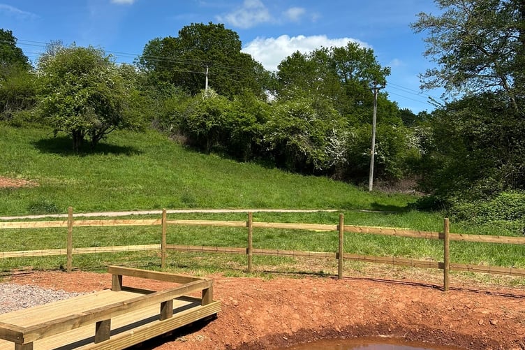 Volunteers will be planting native aquatic and marginal plants that will support a wide range of wildlife.