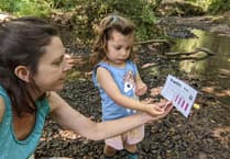 Volunteers needed for annual river blitz starting this July