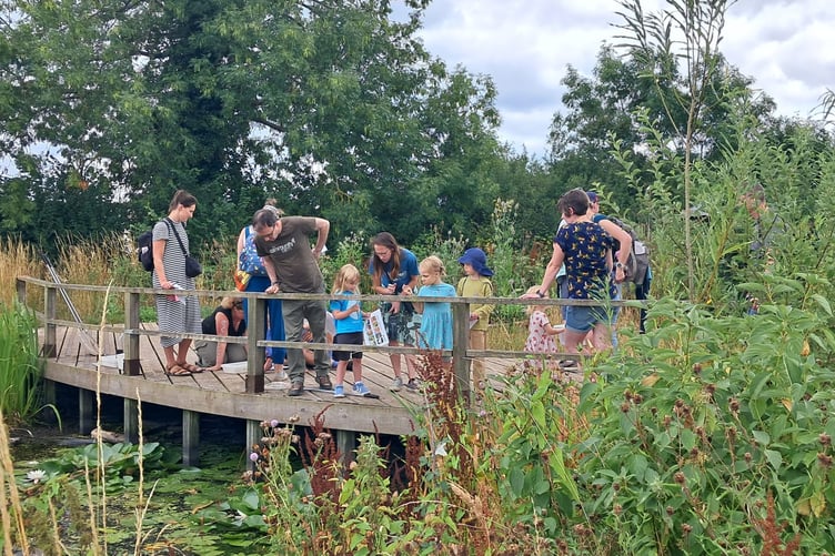 A whole host of activities are on offer as part of the Wildlife Discovery afternoon.