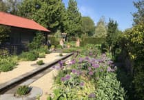 Midsomer Norton Garden opens to public after two year break