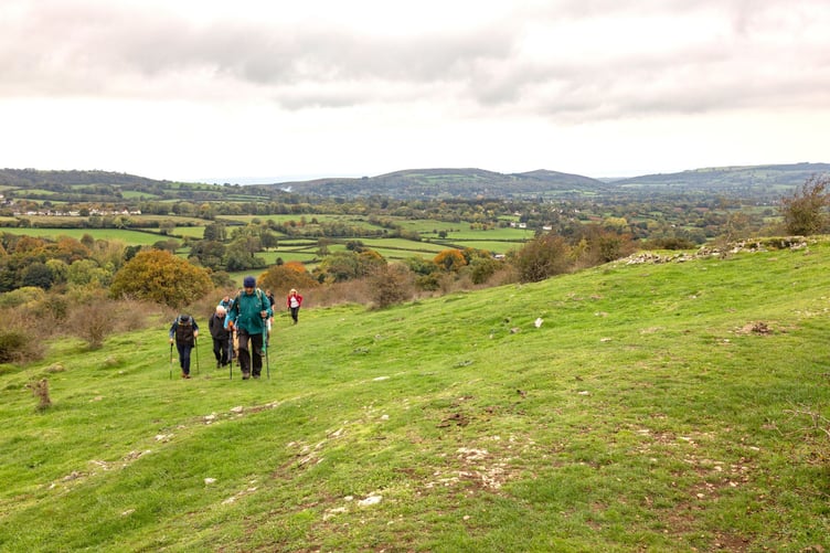 Walkers on Dolebury Warren. (Picture: Lucy Masters)
