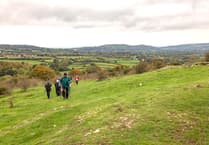 Mendip Hills National Landscape Team launches summer survey
