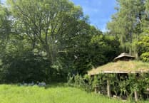Free tasters session for woodland art and wellbeing course