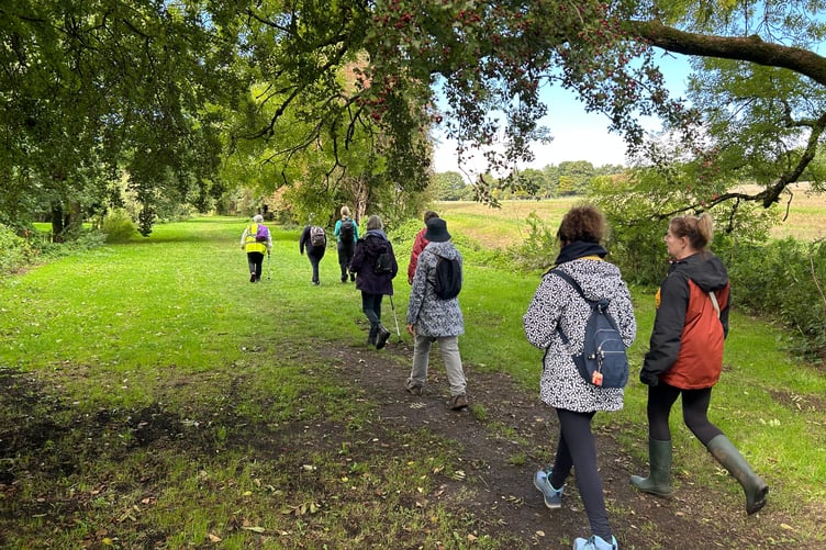 The Walk and Draw session is being led by Somer Valley Ramblers with walk leader Sam Pierpoint.