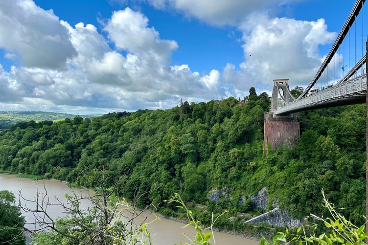The Species Recovery Programme includes a project focused on rare plants and insects in the Avon Gorge.