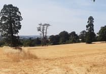 It's official: Somerset now experiencing a drought