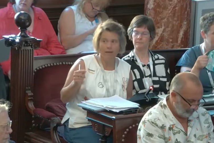 Leader of the Green group on B&NES, Joanna Wright, addressing the council meeting on July 16.