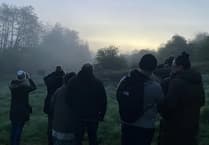 Bats about nature? Join a night nature walk