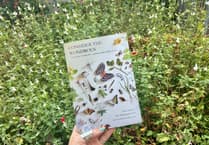 New book festival explores relationship to nature