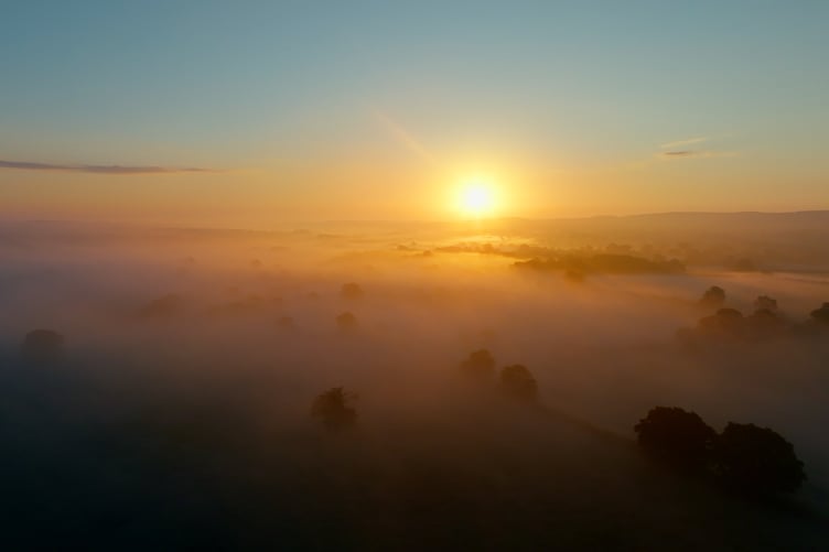 A special screening of rewilding documentary Heal the Land will launch Frome Nature Recovery Plan.
