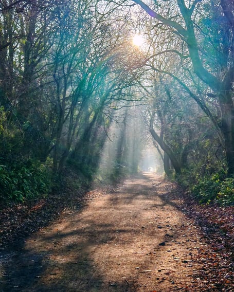 A section of the Strawberry Line path near Winscombe has been named Britain's Favourite Path 2026.