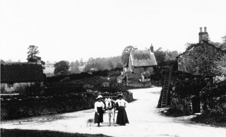 Last week’s photo of the two ladies with a horse and trap was taken at Mells Green in Mells, ca. 1905.