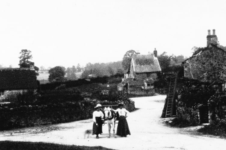 This week's photo shows two ladies with a horse and trap but do you recognise where?
