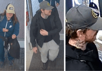 Police issue 'wanted' photos after spate of thefts