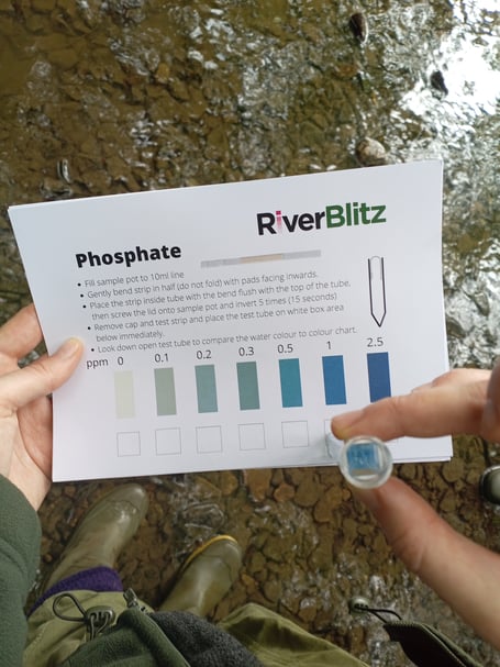 Bristol Avon RiverBlitz tested the water quality across 283 sites checking for phosphate and nitrate.