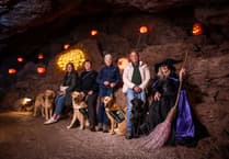 Spooky day out for guide dog pups