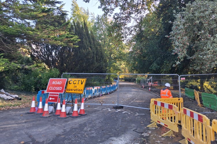Cycle lane works in Royal Victoria Park were halted three days after they started due to error.