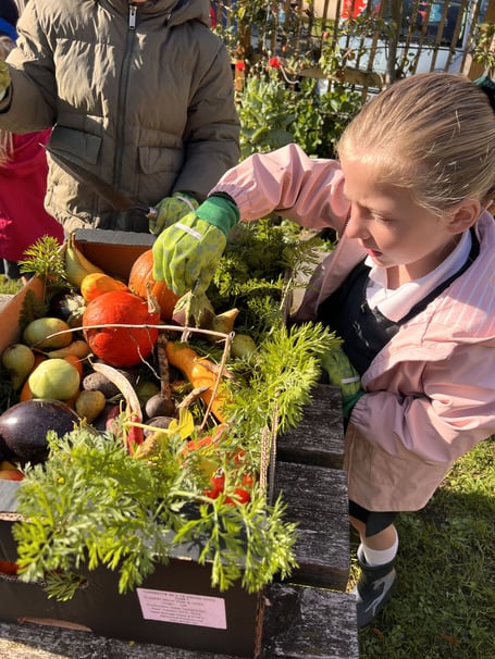 St Julian’s Church School received Gold from Bath in Bloom in recognition of its commitment to gardening. 