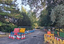 Brakes slammed on cycle lane work