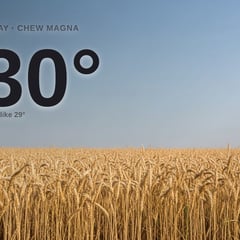 Chew Magna: sunny day, high of 30°C