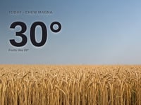 Chew Magna: sunny day, high of 30°C